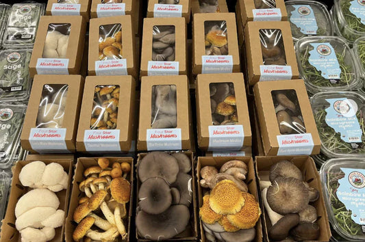 Health Benefits with Four Star Mushrooms