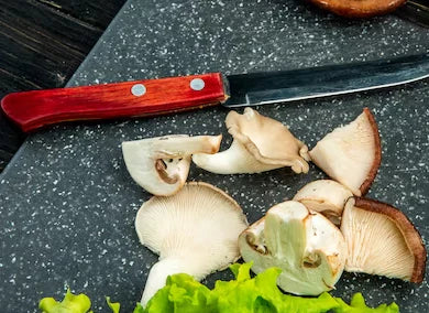 Mushroom Magic: Unveiling Nature’s Culinary Wonders