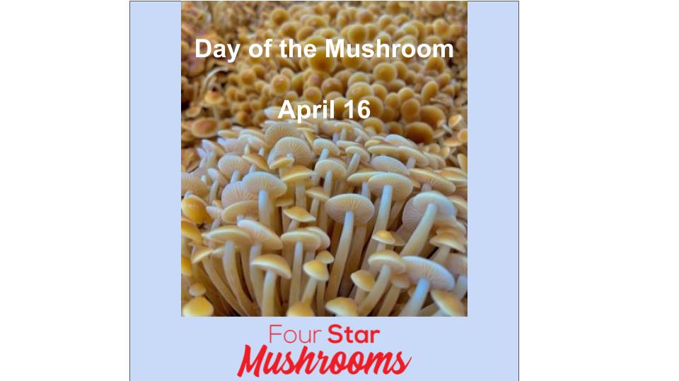 Day of the Mushroom