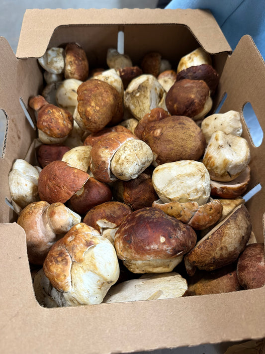 Porcini #1 - PNW - per lb