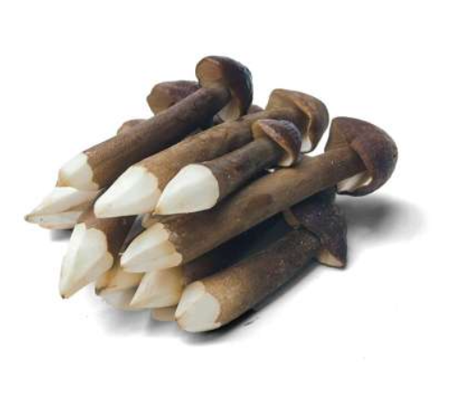 Royal Chestnut - Import - per lb