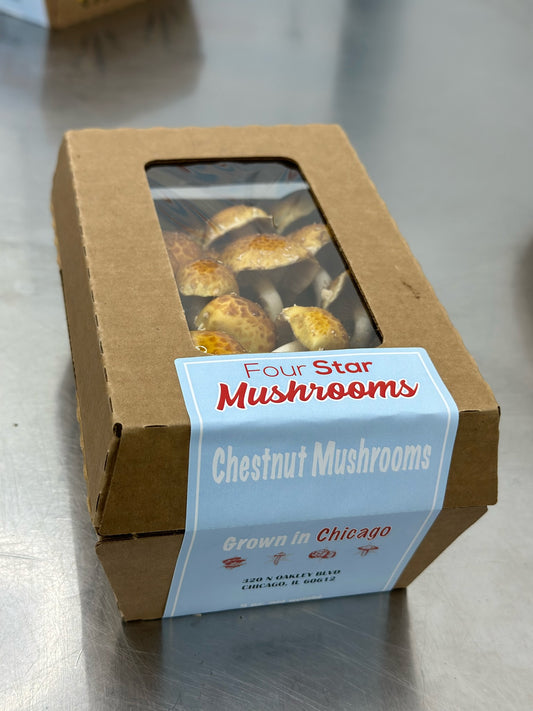 Chestnut Mushroom - 8oz